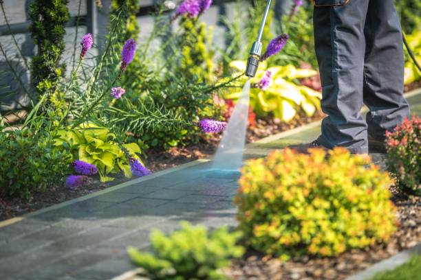 Best Animal Enclosure Cleaning  in Fruit Hill, OH